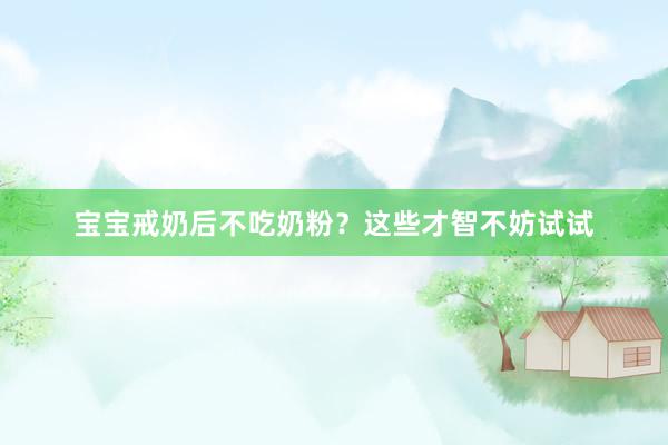 宝宝戒奶后不吃奶粉？这些才智不妨试试