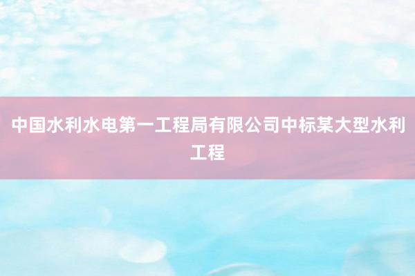 中国水利水电第一工程局有限公司中标某大型水利工程