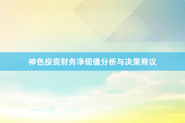 神色投资财务净现值分析与决策商议