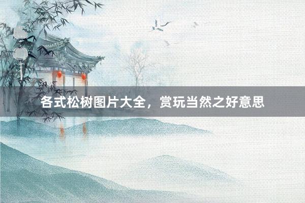 各式松树图片大全，赏玩当然之好意思